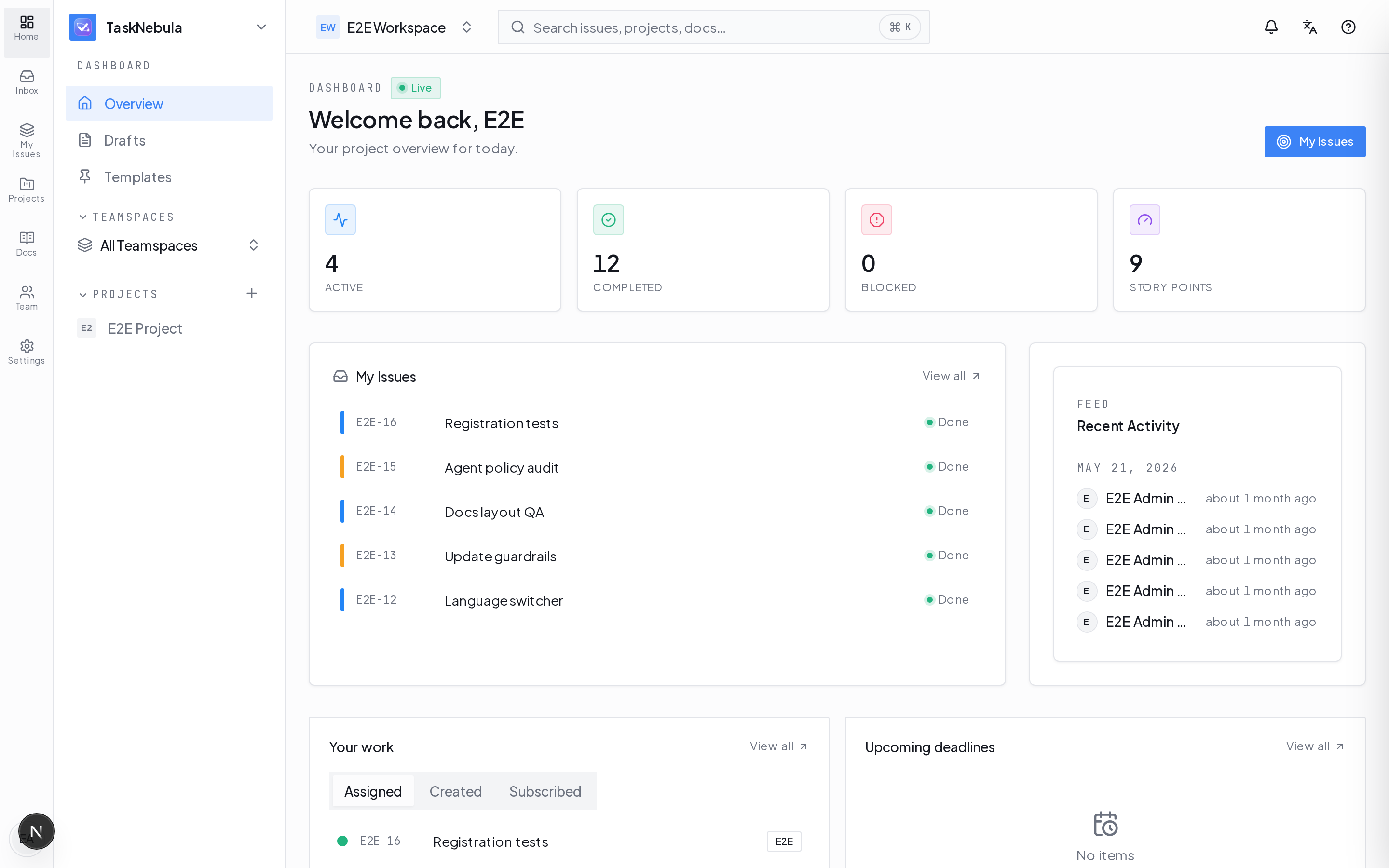 TaskNebula dashboard showing widgets analytics and project status